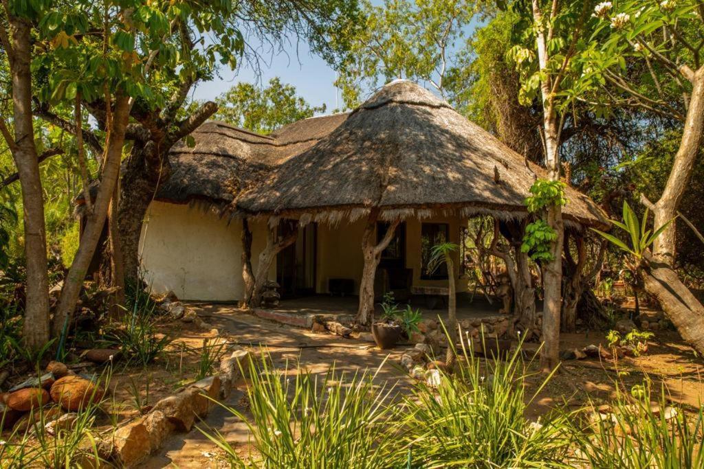 Hippomoon Lodge Game Reserve Hoedspruit Luaran gambar